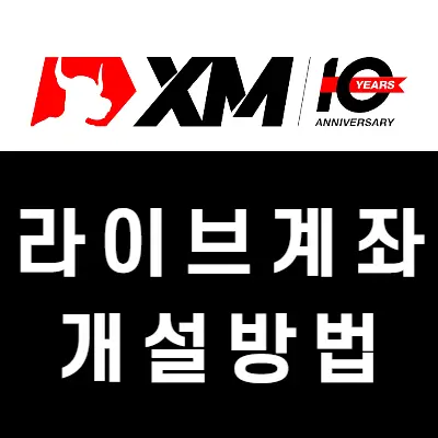 XM 계좌개설 방법, 실계좌 만들고 계좌 유형 고르기